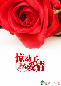 �����˰������