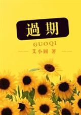 ����(�������)����