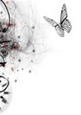 ���˿����