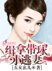 ���ô���С���޷���