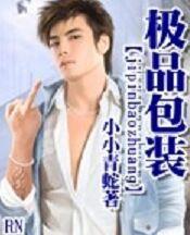 ��Ʒ��װ����