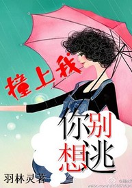 ײ����,������ӷ���