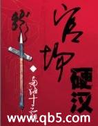 �ٳ�Ӳ������