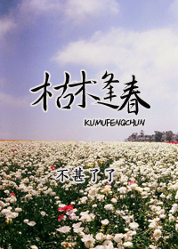 ��ľ�괺����