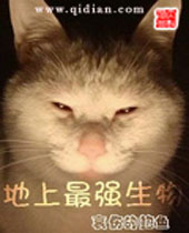 ������ǿ����