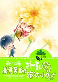 �߹�ƹ��˵�·��С��