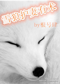 ѩ�ǻ�������