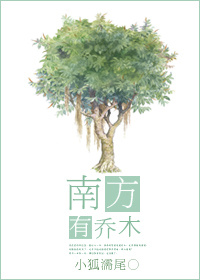 �Ϸ�����ľ