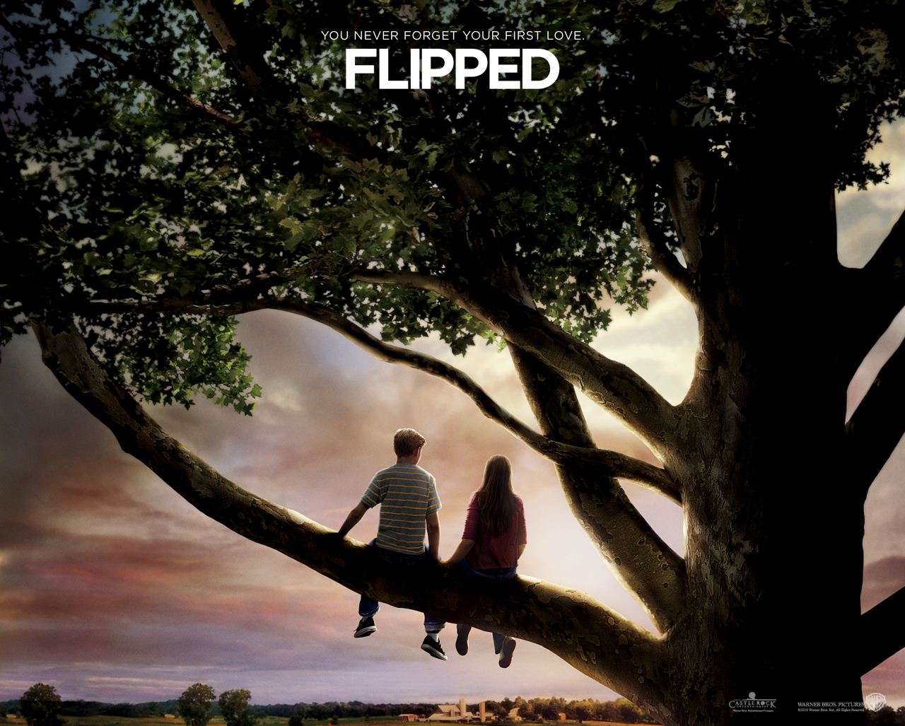 flipped(Ӣ�İ�)