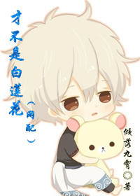 �Ų��ǰ�����(����)