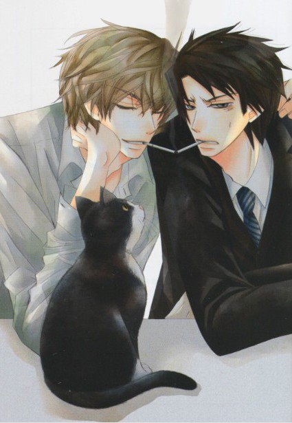 ������ý��