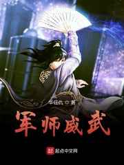 ��ʦ����