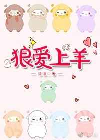 �ǰ��������