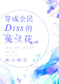 ����ȫ��Diss����˿��