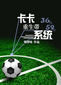 ����������ϵͳ