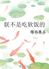 �޲��ǳ������ķ���