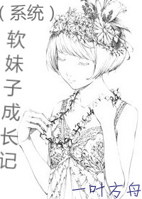 �����ӳɳ���