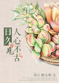 �վü����Ĳ��ŷ���