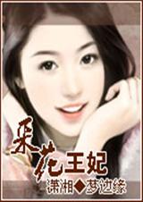 �ɻ���������