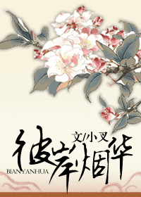 �˰��̻�����