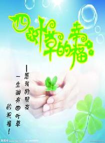 ���˵���Ҷ�ݷ���