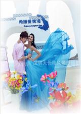 ��ɫ�������