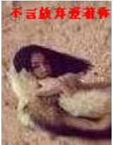 ���Է������������