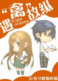 ���ݹ��ݷ���