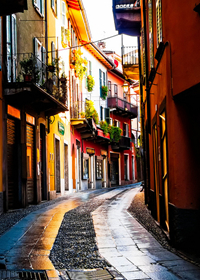 ��Ҷ�����