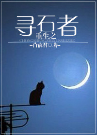 ����֮Ѱʯ�߷���