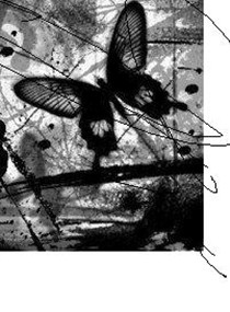 ϲ���㲻���ҵĴ�����