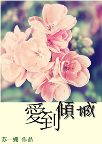 ������Ƿ���