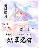 ���������Ϲ�