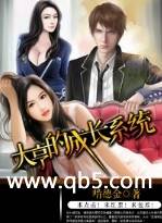 ���ĳɳ�ϵͳ����