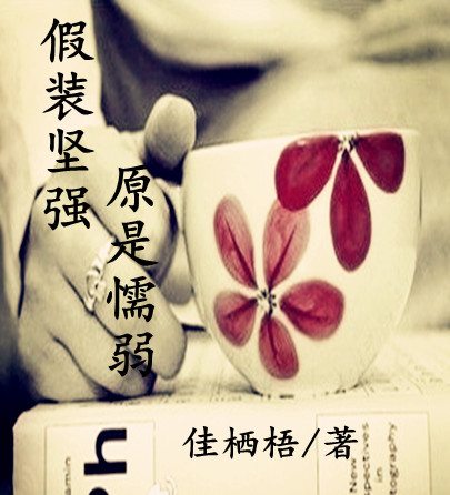 ��װ��ǿ,ԭ��ų������