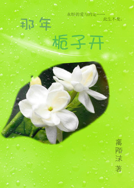 �������ӿ�����