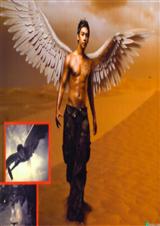 �������