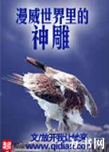 �����������������