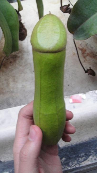 ��һŮ�˷���