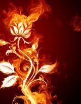 ���ӷ���