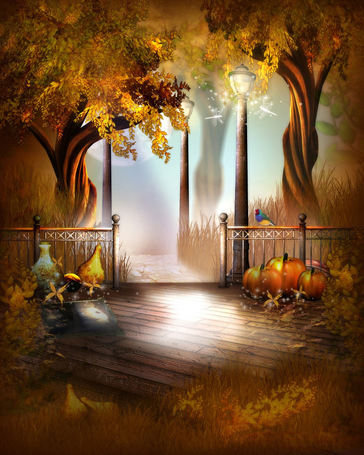 Ů�峤����