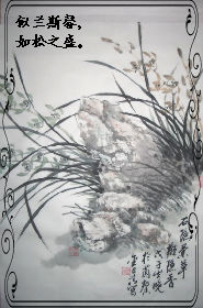 ����÷��֮����˹ܰ����