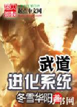 �������ϵͳ