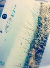 ʮ����ȴ��������