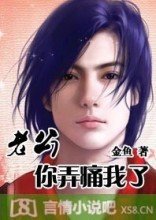 ����Ҫ������������