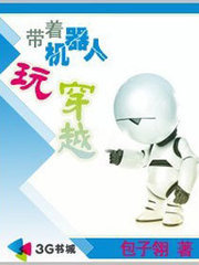 ���Ż������洩Խ����