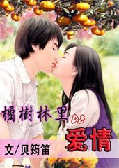 ��������İ������