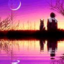 �����ٻ�ʦ����