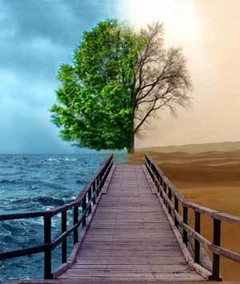 һ��һ������