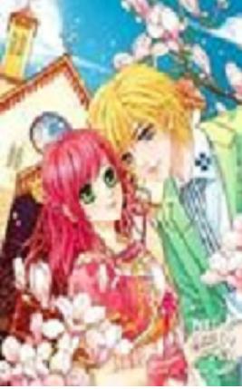 ����������֮������